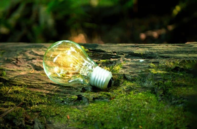 Sustainability in eCommerce